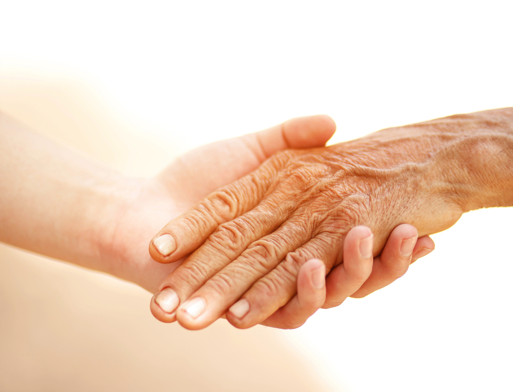 Un objetivo de todos: adultos mayores logrando una vejez digna e integra - Stratego Firma